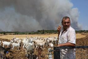 Wildfire Continue In Western Turkey