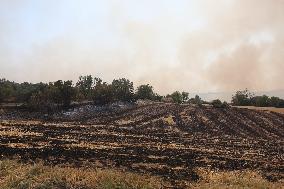 Wildfire Continue In Western Turkey