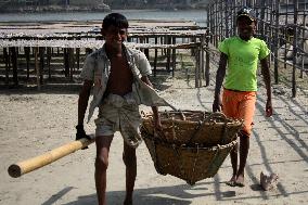 Bangladesh - Child Labor - Working Dry Fish Village - Cox’s Bazar