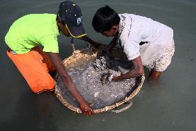 Bangladesh - Child Labor - Working Dry Fish Village - Cox’s Bazar