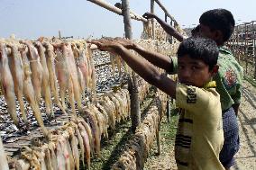 Bangladesh - Child Labor - Working Dry Fish Village - Cox’s Bazar