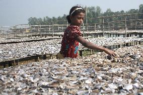 Bangladesh - Child Labor - Working Dry Fish Village - Cox’s Bazar