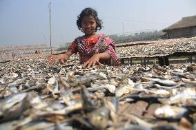 Bangladesh - Child Labor - Working Dry Fish Village - Cox’s Bazar