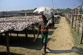 Bangladesh - Child Labor - Working Dry Fish Village - Cox’s Bazar