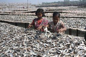 Bangladesh - Child Labor - Working Dry Fish Village - Cox’s Bazar