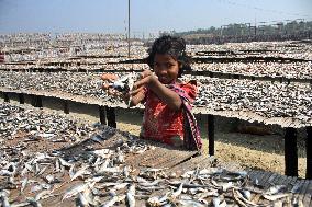 Bangladesh - Child Labor - Working Dry Fish Village - Cox’s Bazar