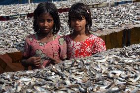 Bangladesh - Child Labor - Working Dry Fish Village - Cox’s Bazar