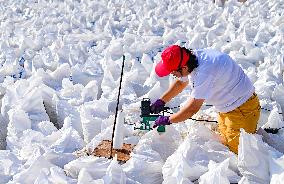 Beidechi Salt Farm in Ordos