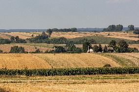 Harvest Season In Poland