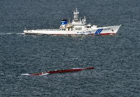 Capsized cargo ship Izumi Maru