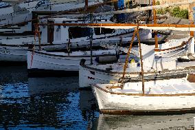 Ciutadella Illustration