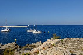 Ciutadella Illustration