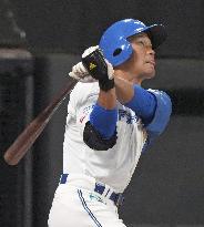 Baseball: Nippon Ham player Wang Po-jung