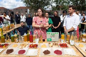 Day 2 of EELV summer days - Le Havre