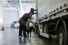 Customs Detector Dogs working