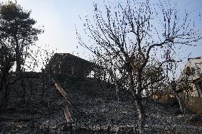 Parnitha Wildfire In Greece