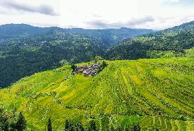 Jiapang Rice Terraces in Congjiang