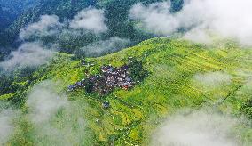 Jiapang Rice Terraces in Congjiang