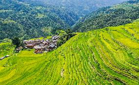 Jiapang Rice Terraces in Congjiang