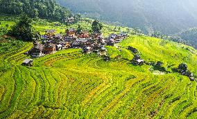 Jiapang Rice Terraces in Congjiang