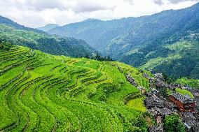 Jiapang Rice Terraces in Congjiang