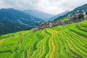 Jiapang Rice Terraces in Congjiang