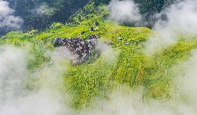 Jiapang Rice Terraces in Congjiang