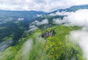 Jiapang Rice Terraces in Congjiang