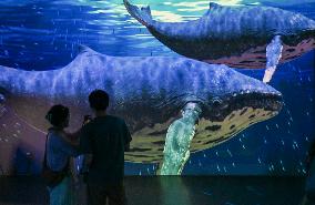 CHINA-TIANJIN-MARITIME MUSEUM-DIGITAL TECHNOLOGY (CN)