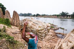 Jute Industry Revenue Can Fall 5-6% Due To Weak Exports: CRISIL