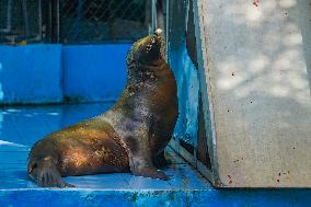 Dehiwala Zoological Garden In Sri Lanka