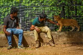 Dehiwala Zoological Garden In Sri Lanka