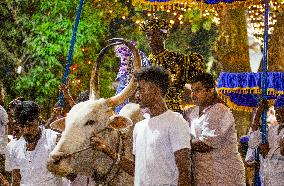 The Annual 'Gonpita Perahera' Or Procession At Pattini Devalaya Temple In Navagamuwa, Colombo.