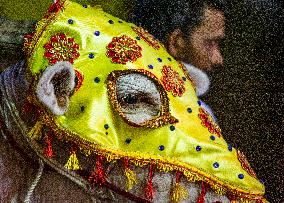 The Annual 'Gonpita Perahera' Or Procession At Pattini Devalaya Temple In Navagamuwa, Colombo.