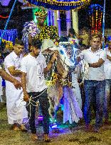 The Annual 'Gonpita Perahera' Or Procession At Pattini Devalaya Temple In Navagamuwa, Colombo.