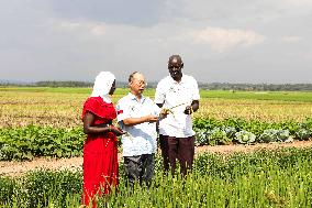 UGANDA-CHINA-AGRICULTURAL COOPERATION-RICE GROWING