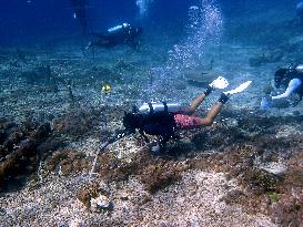 Reef Monitoring In Indonesia As One Of The World's Coral Triangle