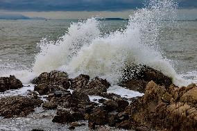 Typhoon SAOLA