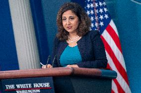 White House Domestic Policy Advisor Neera Tanden delivers remarks new policy aimed at lowering health care costs