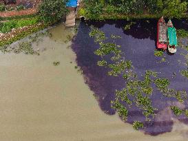 Environmental Pollution - Bangladesh