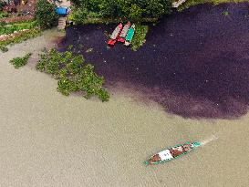 Environmental Pollution - Bangladesh