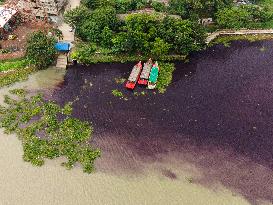 Environmental Pollution - Bangladesh