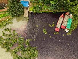 Environmental Pollution - Bangladesh