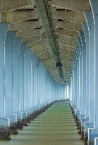 A view shows rows of deep piers of the sea-crossing bridge in Shenzhen, Guangdong province, China, Aug 15, 2023.
