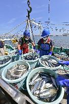 Fukushima bottom trawling season