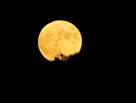 U.S.-SAN FRANCISCO-FULL MOON