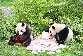 GERMANY-BERLIN-GIANT PANDA TWINS-FOURTH BIRTHDAY