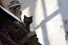 Residential building wall collapses in Odesa