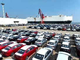 Vehicles Export in Lianyungang Port