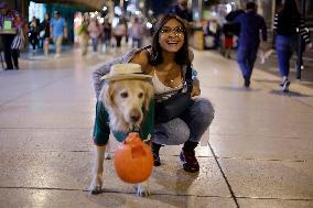 Daily Life In Mexico City